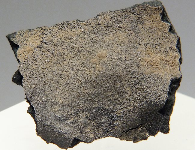 Kolang 炭素質石質隕石(CM1/2) 403 8.20g - 鉱物標本・隕石標本販売の 