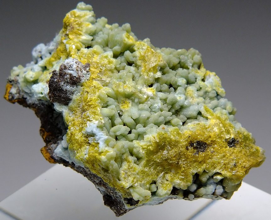 鉛ゴム石 1 中国 - 鉱物標本・隕石標本販売のWeb専門店 エヌズミネラル 
