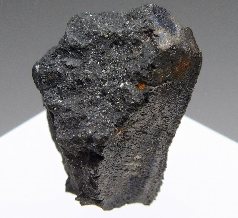Aguas Zarcas 炭素質石質隕石(CM2) 776 6.27g - 鉱物標本・隕石標本販売のWeb専門店 エヌズミネラル ｜｜鉱物標本・隕石 標本の販売・通販