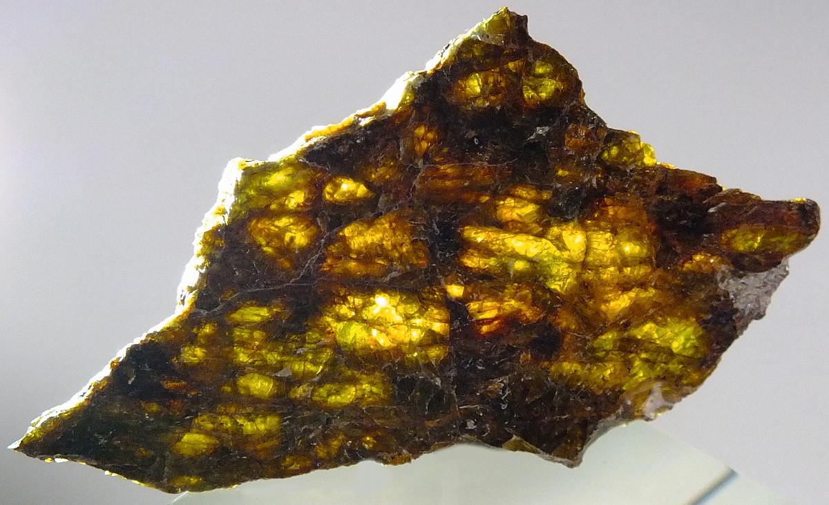 30%OFF石質　隕石　NWA 7831　ダイオジェナイト　スライス　2.7g　証明カード付 置物