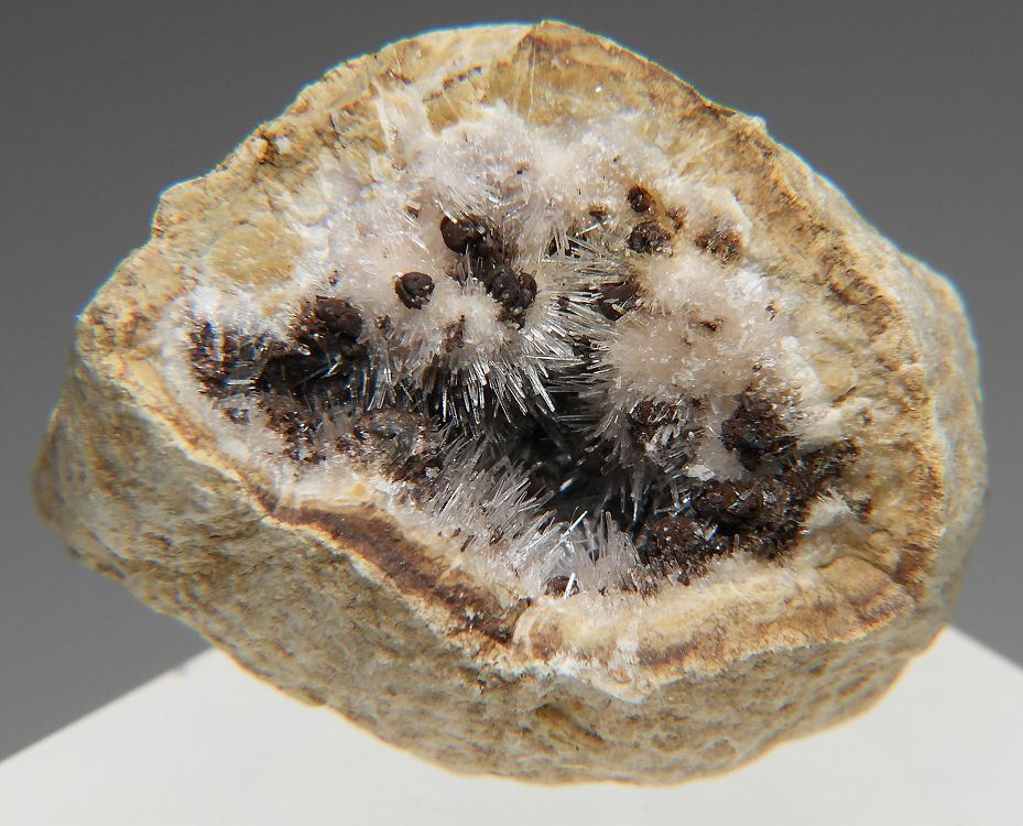 アラゴナイト の商品一覧- 鉱物標本・隕石標本販売のWeb専門店 エヌズミネラル ｜鉱物標本・隕石標本の販売・通販